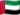 UAE flag